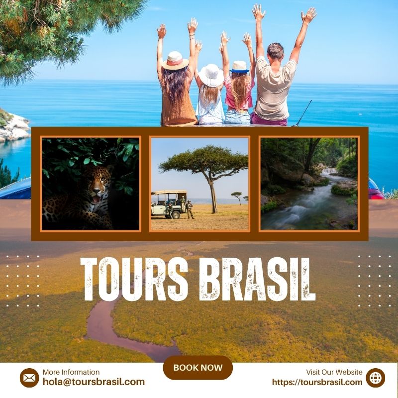 Tour nocturno en Río de Janeiro: Una noche inolvidable llena de encanto